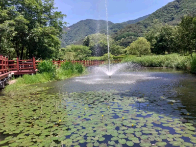 문경생태미로공원 야생화등 꽃 만개!!